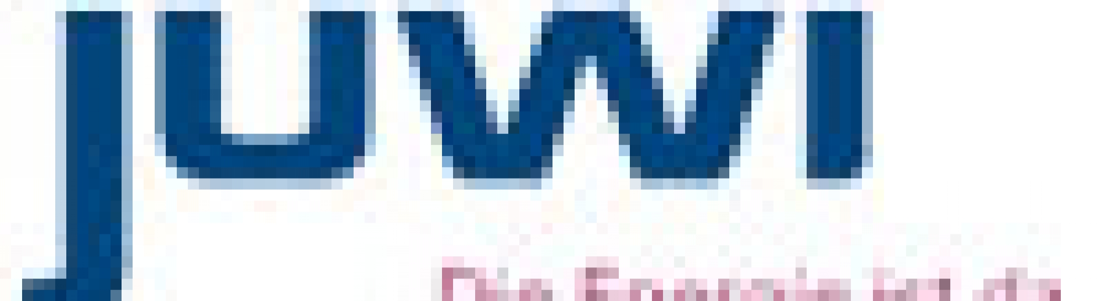 JUWI AG Rent a Fuhrparkmanagerin